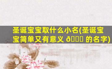 圣诞宝宝取什么小名(圣诞宝宝简单又有意义 🐒 的名字)